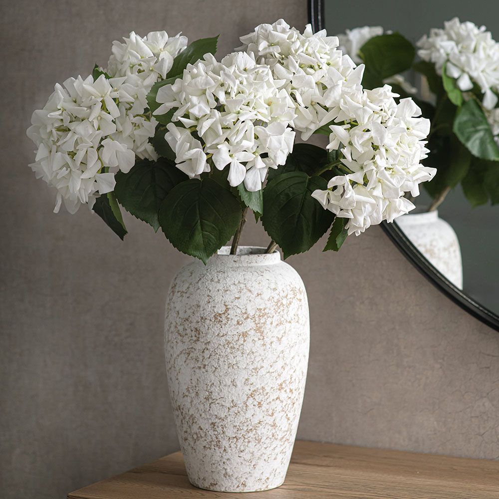 Hortensia - Pure Ivory