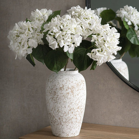 Hortensia - Pure Ivory
