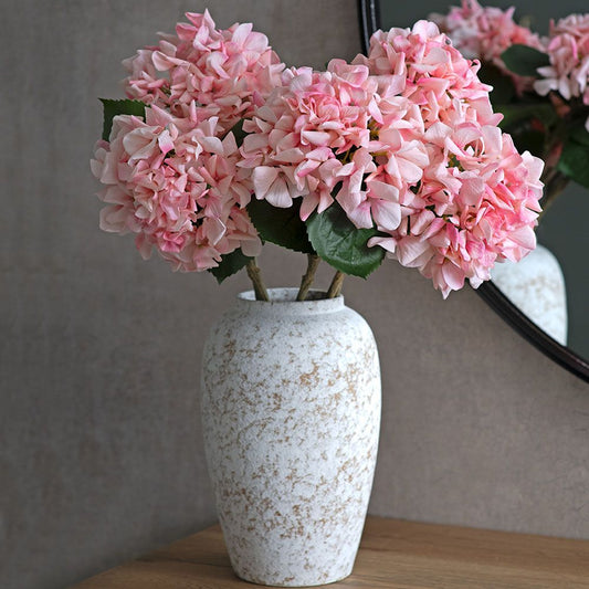 Hortensia - Garden Pink
