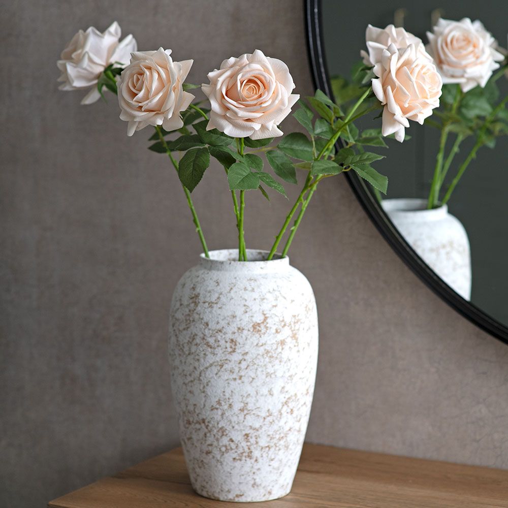 Rose - Apricot Veil