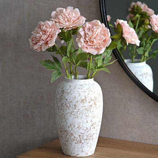 Pivoine - Soft Petal
