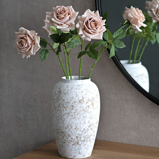 Rose - Desert Rose