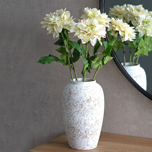 Dahlia - Almond Bloom