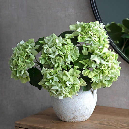 Hortensia - Celadon Bloom