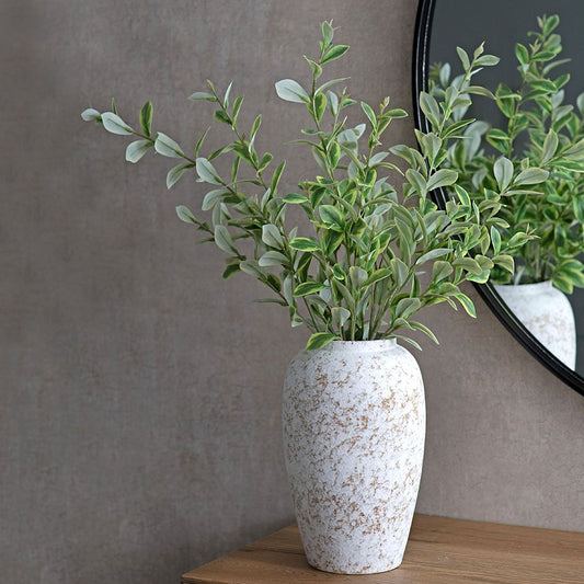 Ruscus