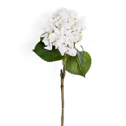 Hortensia - Pure Ivory