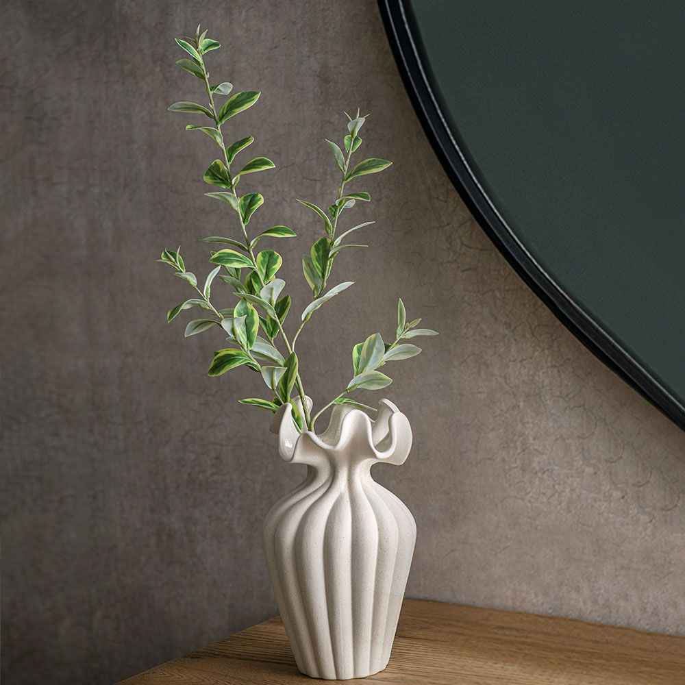 Ruscus