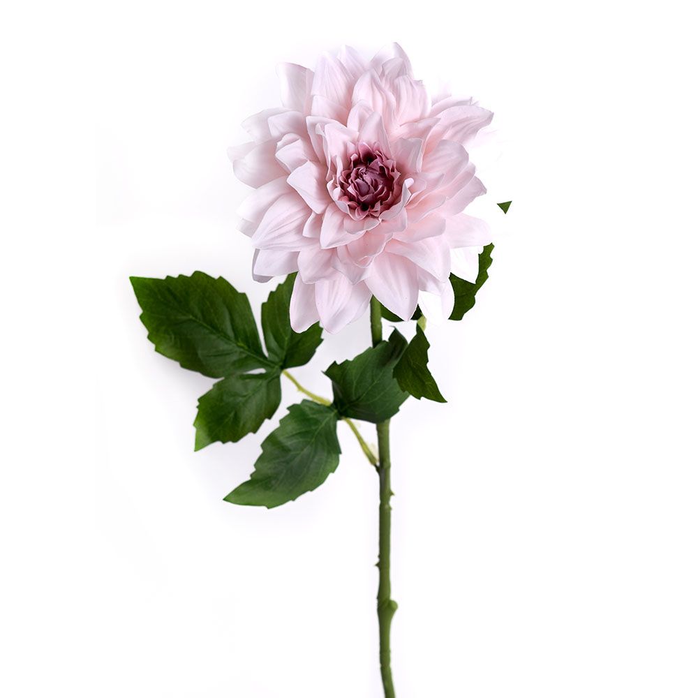 Dahlia - Vintage Rose