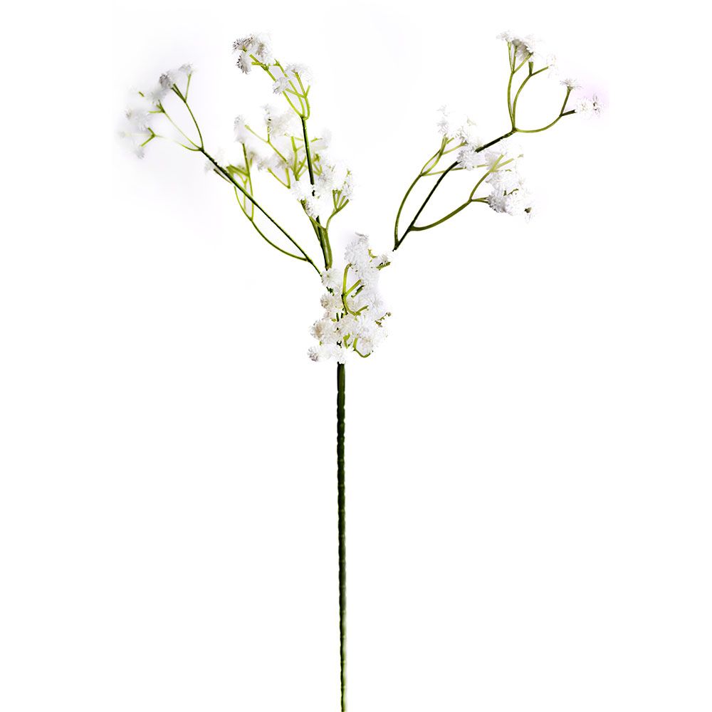 Gypsophile