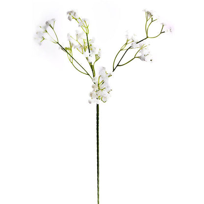 Gypsophile