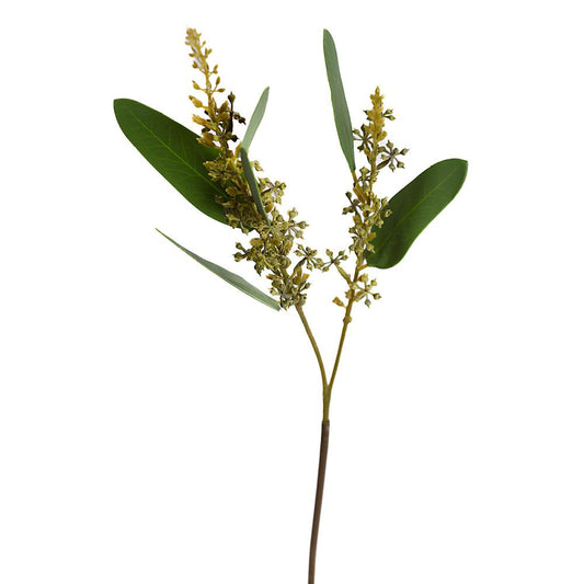 Olivier en fleurs