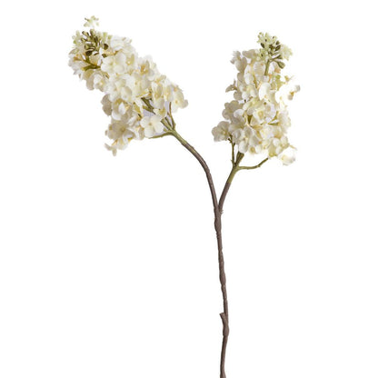 Lilas - Vanilla Bloom